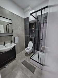大克拉杜沙Hotel Balon的浴室配有卫生间、盥洗盆和淋浴。
