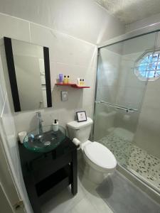 金斯敦Cozy 2 bedroom Townhouse in gated community, KGN8的一间带卫生间和玻璃淋浴间的浴室