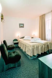 巴亚斯普列Turist Suior Baza的配有一张床和一把椅子的酒店客房