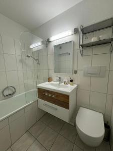 达沃斯Beautiful Cozy Studio Davos的一间带水槽、卫生间和淋浴的浴室