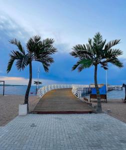 乔克-塔尔Palm_beach的海滩木板路上两棵棕榈树