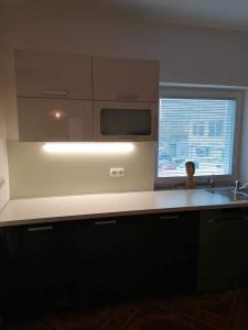 斯洛文尼亚比斯特里察Apartma Bistrica的厨房配有水槽和微波炉