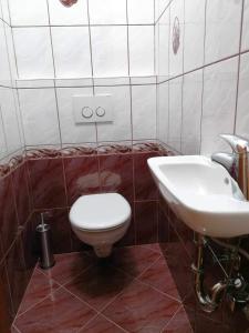 斯洛文尼亚比斯特里察Apartma Bistrica的一间带卫生间和水槽的浴室