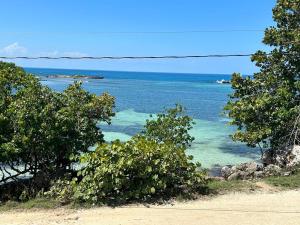 Little BayLittle Bay Bungalow的从树木茂密的山丘上欣赏海景