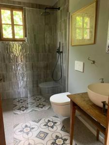 尼翁'Le Petit Clos Suites'- Charming Garden Villa on Leman Lake的带淋浴、卫生间和盥洗盆的浴室