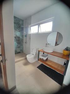 路易港Rooftop apartment的一间带卫生间、水槽和镜子的浴室