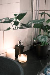 奥斯陆Studio apartment的浴室的柜台上放着蜡烛和植物