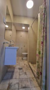 瓜伊马延Hostel S & J Mendoza的一间带水槽和卫生间的浴室