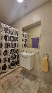 瓜伊马延Hostel S & J Mendoza的一间带水槽和镜子的浴室