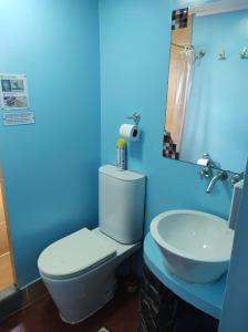 乌斯怀亚苏尔塔青旅的蓝色的浴室设有卫生间和水槽