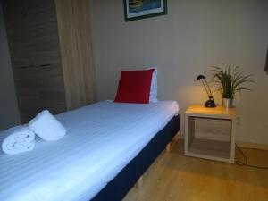 鲁汶Room in Studio - Condo Gardens Leuven - Budget Studio Single的一间卧室配有一张红色枕头的床