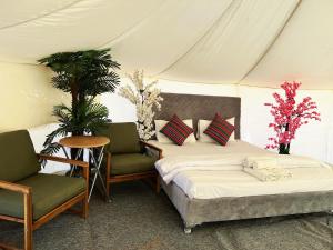Dream Desert Camp的一间卧室配有床和两把椅子,鲜花盛开