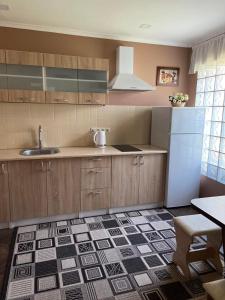 比尔戈罗德-德尼斯特罗夫西基ЭкоДом的厨房配有水槽和冰箱
