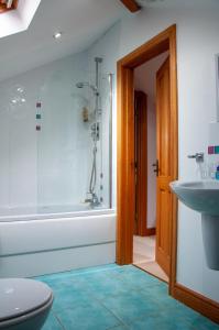 唐帕特里克Creeghduff Lodge的带淋浴、盥洗盆和浴缸的浴室