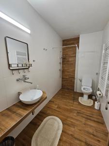 托波尔恰尼Ubytovanie FUNSTAR Topoľčany的一间带水槽和卫生间的浴室