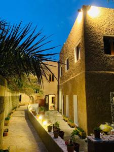 尼兹瓦Riad Nizwa的种有盆栽植物的庭院和一座建筑