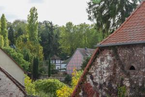 大卡尔巴赫Boutique-Hotel im Sternenhof的享有村庄的房屋和树木美景