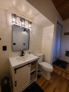 罗斯堡A Restful Studio Near a Creek and Forest - Pet Friendly的一间带卫生间、水槽和镜子的浴室