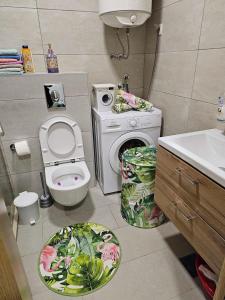 采蒂涅Apartman AURORA CETINJE的一间带卫生间和洗衣机的浴室