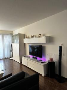 温特图尔Gemütliche möbilierte Wohnung in Winterthur的一间客厅,客厅内配有一台平面电视,位于白色娱乐中心