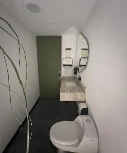 JuayúaBOURBON HOSTAL的浴室配有白色卫生间和盥洗盆。