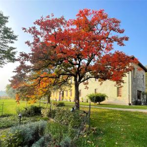 戈里齐亚Castel San Mauro的建筑物前有红叶的树