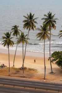 利伯维尔利伯维尔奥古曼皇宫丽笙酒店的海滩上一棵棕榈树和大海