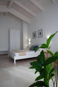 伊格莱西亚斯DoMe Affittacamere的一间白色卧室,配有床和植物