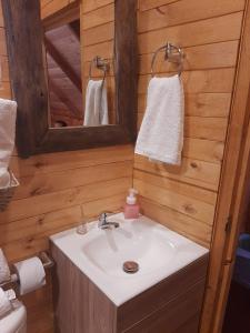 锡帕基拉Glamping El Ocaso的一间带水槽和镜子的浴室