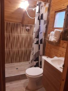 锡帕基拉Glamping El Ocaso的浴室配有卫生间、淋浴和盥洗盆。