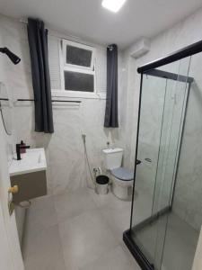 里约热内卢Lindo Loft na Cinelândia的带淋浴和卫生间的浴室以及窗户。
