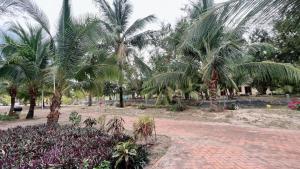Vĩnh ThạnhNBC Cam Bình Resort的棕榈树公园和砖路