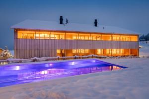 埃格Fuchsegg Eco Lodge的一座在雪中设有游泳池的建筑