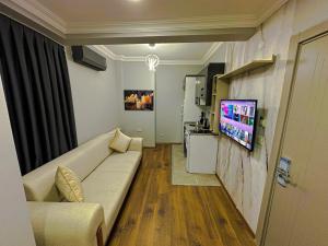伊斯坦布尔Sisli House By Remar Holding的带沙发和平面电视的客厅