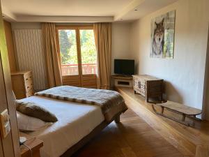代米考迪亚2 Appartements près de Megève et terrain de tennis en été的一间卧室设有一张床、一台电视和一个窗口。