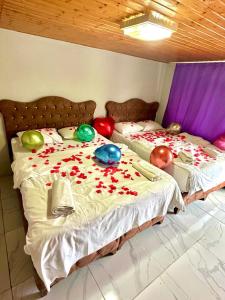 伊斯坦布尔HOTEL RAYDON的一间卧室配有两张带气球的床。