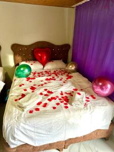 伊斯坦布尔HOTEL RAYDON的一张红色玫瑰和气球的床