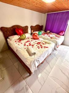 伊斯坦布尔HOTEL RAYDON的红色玫瑰花间内的两张床