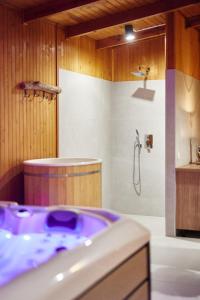 KonopnicaResort Zacisze Apartamenty的浴室配有紫色水槽和淋浴