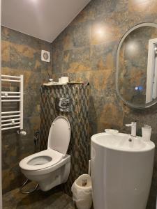 奥托佩尼Ami Residence Bucharest Airport&Therme&Parking的一间带卫生间、水槽和镜子的浴室