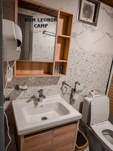 瓦迪拉姆RUM LEONOR CAMP的一间带水槽和卫生间的浴室