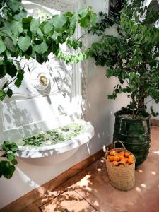 马拉喀什达尔努巴摩洛哥传统庭院住宅的树上的浴室里一篮橘子