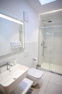 洛迦诺Hotel Bellavista Locarno的浴室配有卫生间、盥洗盆和淋浴。