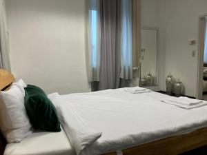 瓦尔茨胡特田根Waldshut Stadt Ferien Wohnung的卧室配有一张白色大床和镜子
