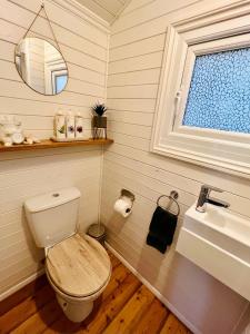 巴特尔The Green Hut的一间带卫生间、水槽和镜子的浴室