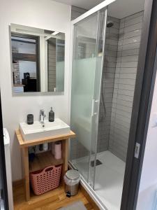 VerberieRépublique的带淋浴和盥洗盆的浴室