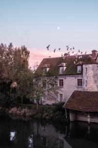 Marnay-sur-SeineLe Prieuré sur Seine的一群鸟飞过河边的建筑物