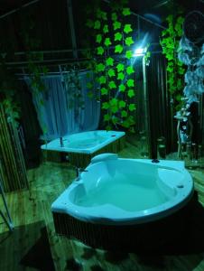 卡希卡Cabañas Villa Isabel的带浴缸和盥洗盆的大浴室