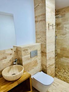 锡纳亚Stone House Sinaia的一间带水槽、卫生间和淋浴的浴室