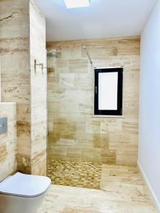 锡纳亚Stone House Sinaia的带淋浴、卫生间和窗户的浴室